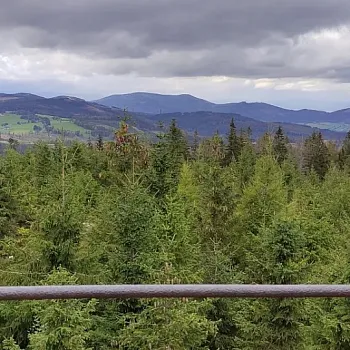 Nordic Walking nad Zlatými Horami