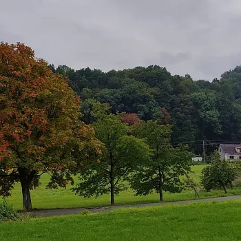 Nordic Walking Bílá Voda - Zloty Stok