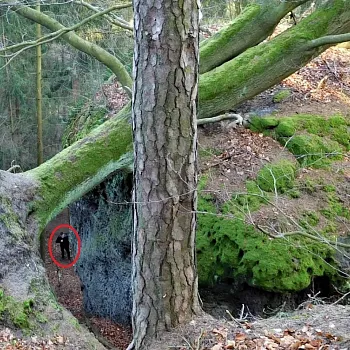 Nordic Walking na Kokořínsku nemá chybu Zakšín - Tupadly