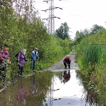 Ostrava - Nordic Walking přírodní rezervací Rezavka