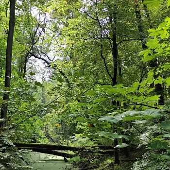 Ostrava - Nordic Walking přírodní rezervací Rezavka