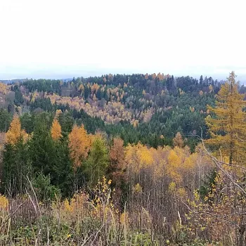 Nordic Walking 17. listopad 2022 nad Zábřehem