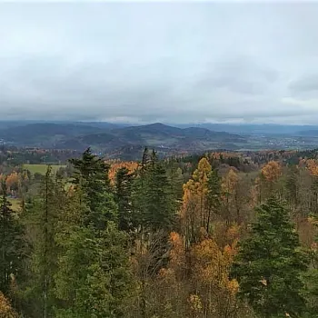 Nordic Walking 17. listopad 2022 nad Zábřehem