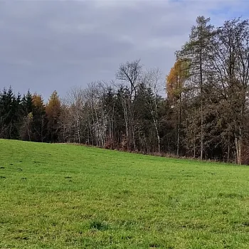 Nordic Walking 17. listopad 2022 nad Zábřehem