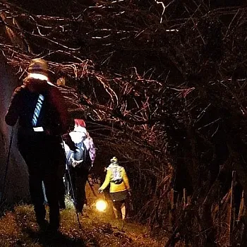 Mělník - předvánoční světýlkový Nordic Walking ve tmě