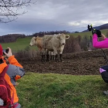 Zlaté Hory - Silvestr walking 2022