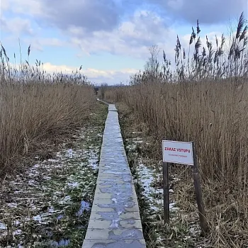 Ostrava!!! - Nordic Walking u Heřmanického rybníka