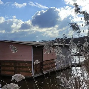 Ostrava!!! - Nordic Walking u Heřmanického rybníka