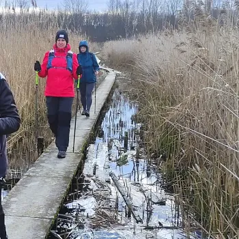 Ostrava!!! - Nordic Walking u Heřmanického rybníka