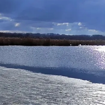 Ostrava!!! - Nordic Walking u Heřmanického rybníka