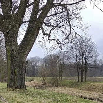 Ostrava!!! podivuhodná - předjaří v Poodří