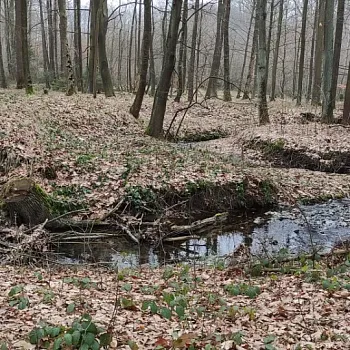 Ostrava!!! podivuhodná - předjaří v Poodří