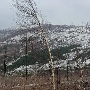 Zlatohorsko - Nordic Walking Bílá sobota v Góry Opawskie