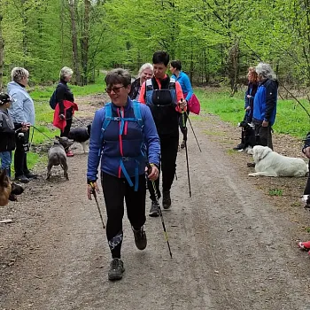 Ostrava!!! ztracené Eldorádo. Z Michálkovic do Petřvaldu