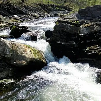 Nordic Walking divoká, šumivá Ostravice, ve dvou.