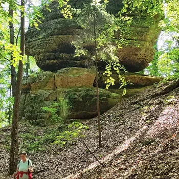 Kokořínsko - Nordic Walking krajem mého táty