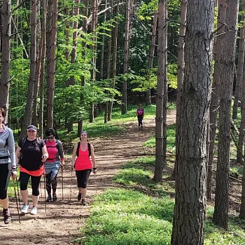 Kokořínsko - Nordic Walking krajem mého táty