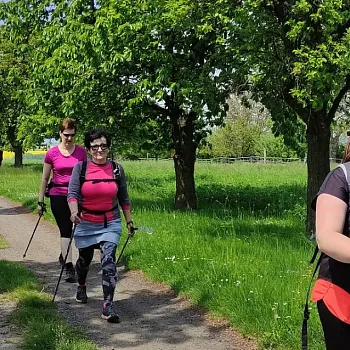 Kokořínsko - Nordic Walking krajem mého táty