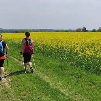 Kokořínsko - Nordic Walking krajem mého táty
