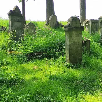 Kokořínsko - Nordic Walking krajem mého táty