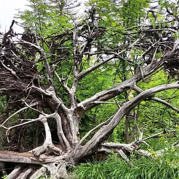 Nordic Walking expedice Beskydy, den druhý