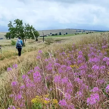 Krušné hory - nádherné, pro Nordic Walking jako dělané.