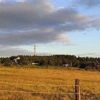 Krušné hory - nádherné, pro Nordic Walking jako dělané.