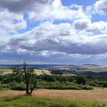 Krušné hory - nádherné, pro Nordic Walking jako dělané.
