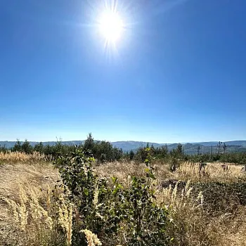 Svatý Václav na Zlatohorsku. Nordic Walking i sightseeing.