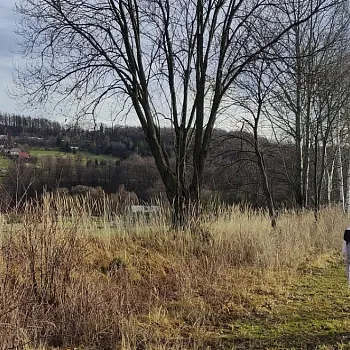 Zlaté Hory - Silvestrwalking 2023 - klidná cesta