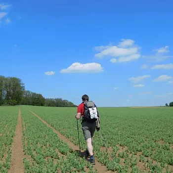 Na cestě s Nordic Walking poutníkem