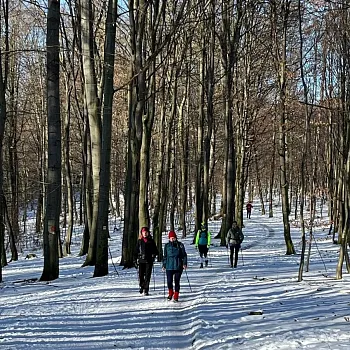 Ostrava!!! podivuhodná  - Nordic Walking z Horní Lhotky na Skalku