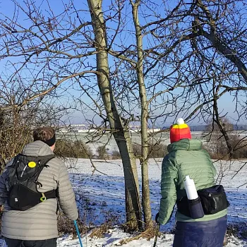 Ostrava!!! podivuhodná  - Nordic Walking z Horní Lhotky na Skalku