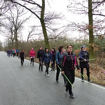 Mělnicko - Jeviněves. Nordic Walking výšlap kolem hradu, blázince, zapomenutého hřbitova a místa, které je lepší než muzeum. Buřtíky s sebou.
