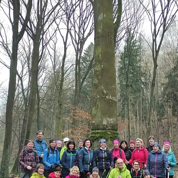 Mělnicko - Jeviněves. Nordic Walking výšlap kolem hradu, blázince, zapomenutého hřbitova a místa, které je lepší než muzeum. Buřtíky s sebou.