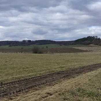 Mělnicko - Jeviněves. Nordic Walking výšlap kolem hradu, blázince, zapomenutého hřbitova a místa, které je lepší než muzeum. Buřtíky s sebou.