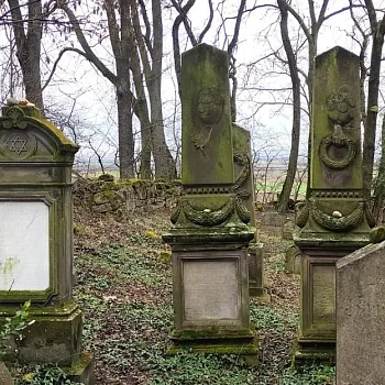 Mělnicko - Jeviněves. Nordic Walking výšlap kolem hradu, blázince, zapomenutého hřbitova a místa, které je lepší než muzeum. Buřtíky s sebou.