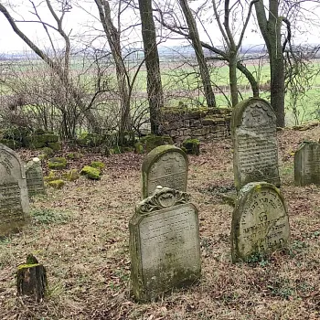 Mělnicko - Jeviněves. Nordic Walking výšlap kolem hradu, blázince, zapomenutého hřbitova a místa, které je lepší než muzeum. Buřtíky s sebou.