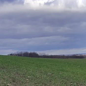 Mělnicko - Jeviněves. Nordic Walking výšlap kolem hradu, blázince, zapomenutého hřbitova a místa, které je lepší než muzeum. Buřtíky s sebou.