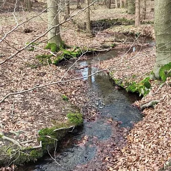 Ostrava podivuhodná!!! - Ostravská operace ze Zátiší do Zátiší