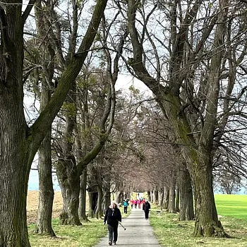 Ostrava podivuhodná!!! - Ostravská operace ze Zátiší do Zátiší