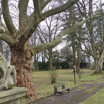 Kokořínsko - Nordic Walking z Dobřeně do Chudolaz