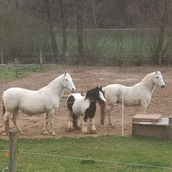 Kokořínsko - Nordic Walking z Dobřeně do Chudolaz
