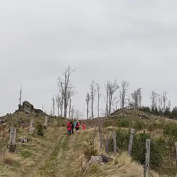 Zlaté Hory - Bílá sobota 2024, z Forvízu přes Větrnou a Bišovku do Cukmantlu