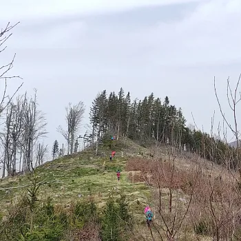 Zlaté Hory - Bílá sobota 2024, z Forvízu přes Větrnou a Bišovku do Cukmantlu