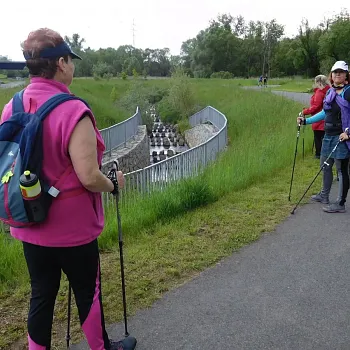 Fascinující Ostrava!!! Nordic Walking podél Odry.