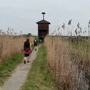 Ostrava!!! podivuhodná - NW kolem Hlučínského jezera