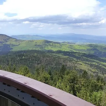 Javorník ve Slezsku - den druhý. Borůvková hora