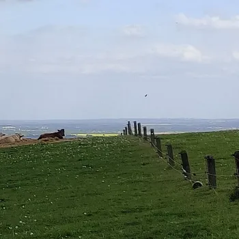 Javorník ve Slezsku - den druhý. Borůvková hora