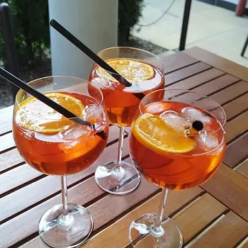 Javorník ve Slezsku - den druhý. Borůvková hora